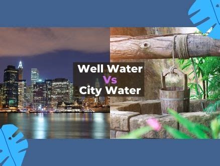 well water vs city water|how to use well water.